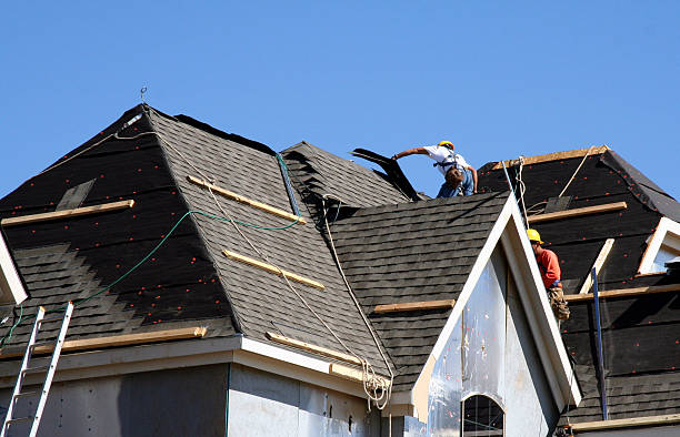 Best Gutter Installation and Roofing  in Forest Acres, SC